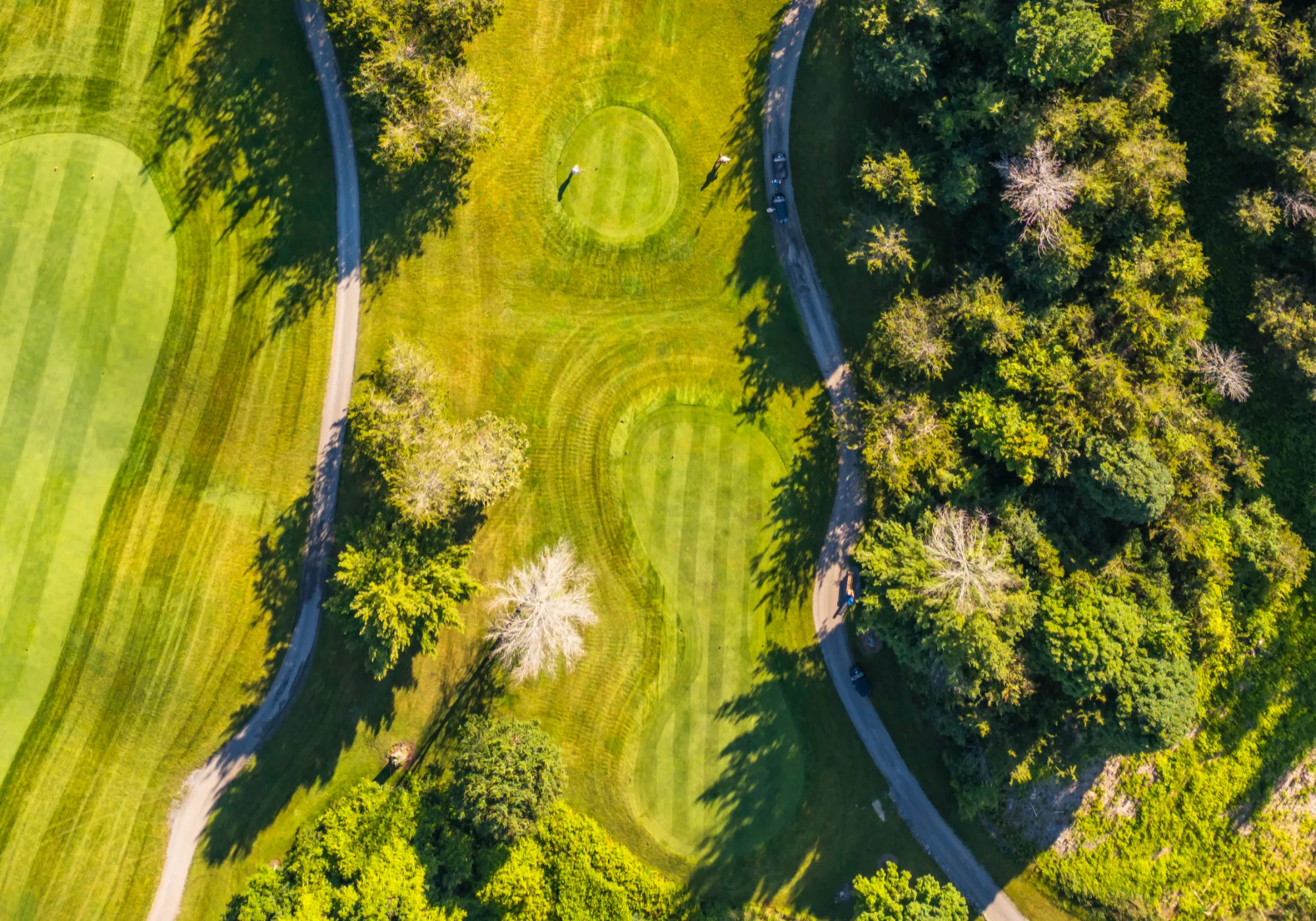 loyalist country club 04